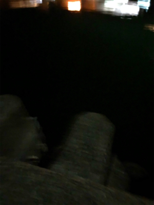 ナイトアジング