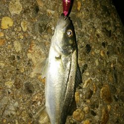 プラッキングゲーム