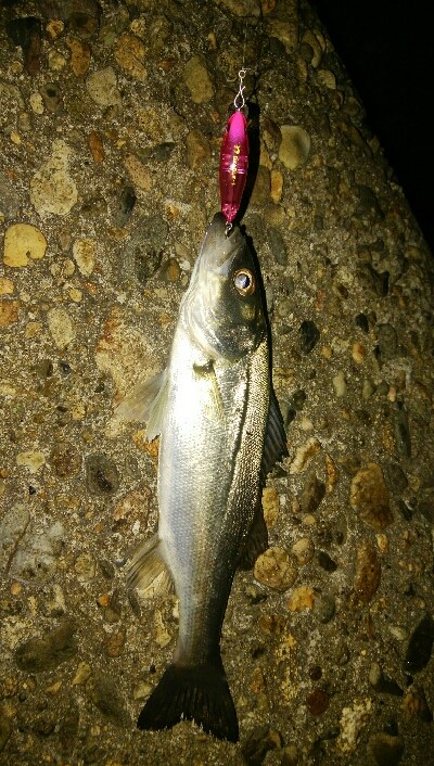 プラッキングゲーム