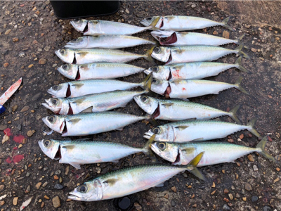 サバサバサバサバゲー