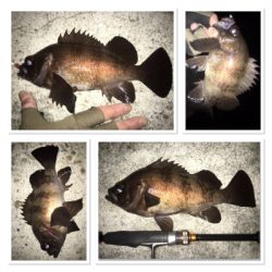 渋いと思いきや…パターン発見!