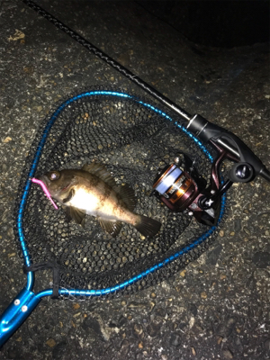 エステルジグ単ゲーム