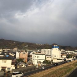 今日も今日とてパン鯉