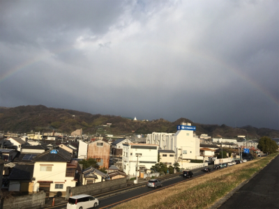 今日も今日とてパン鯉