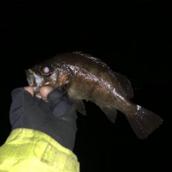 爆風メバリング