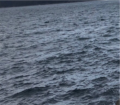 安定のガシラ^_^♪