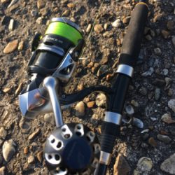 鯖を釣りました。