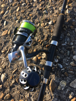 鯖を釣りました。