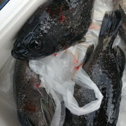 田尻の釣堀