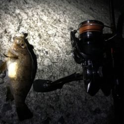 ド干潮の末に！