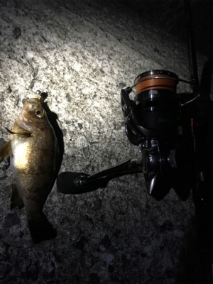 ド干潮の末に！