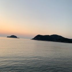 アオリイカ開幕！？