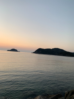 アオリイカ開幕！？