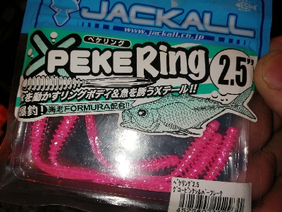 早朝メバリング