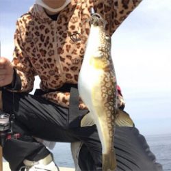 得意のライトゲーム