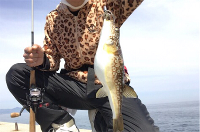 得意のライトゲーム