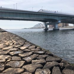 キセキ 4戦3勝 4枚