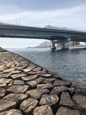 キセキ 4戦3勝 4枚