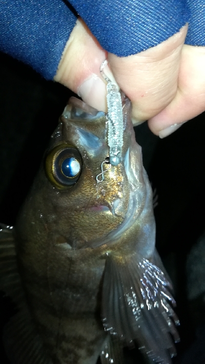 ナイトメバリング