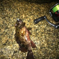 小雨の中、ガシリング(^^)