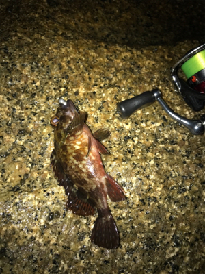 小雨の中、ガシリング(^^)