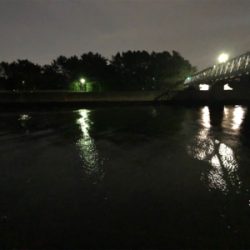 短時間シーバス