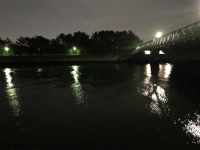 短時間シーバス