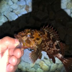 楽しめました(^^)