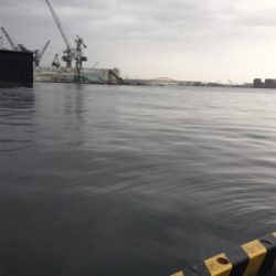 渋い中のアイナメ