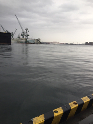 渋い中のアイナメ