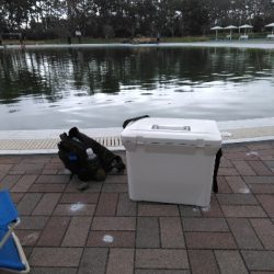 服部緑地でトラウト