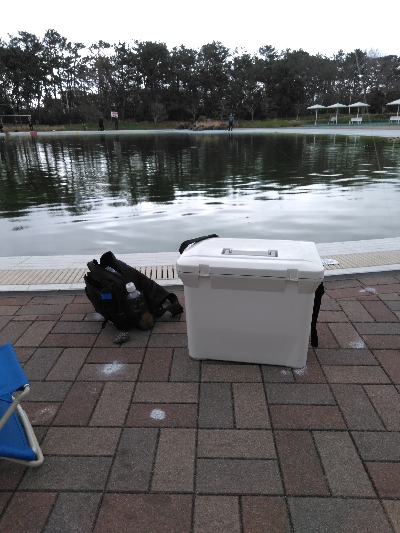 服部緑地でトラウト