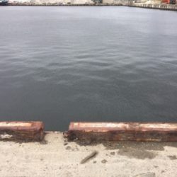 アジ狙いで、シーバス！