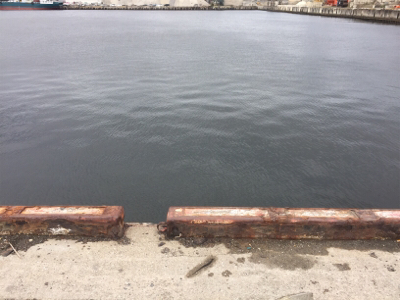 アジ狙いで、シーバス！