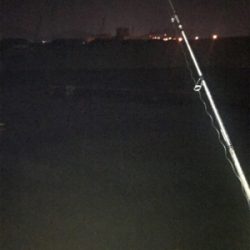 プラグも反応あり