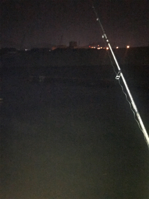 プラグも反応あり