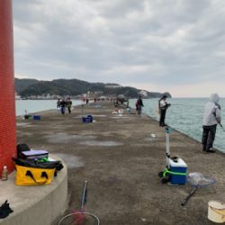 サワラとメバルGET