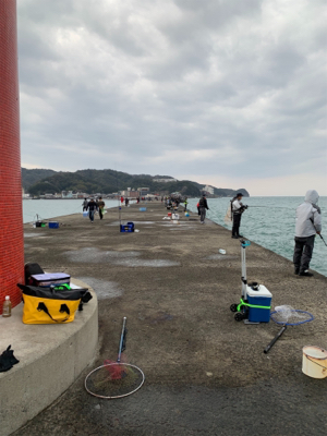 サワラとメバルGET