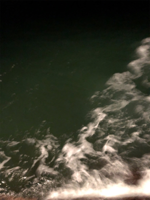 渋すぎる。大寒波