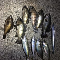 パッとしないサイズ…