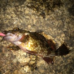 寒い中、3種目GET (^^)