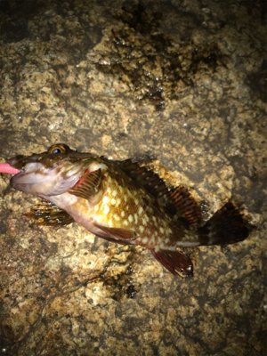 寒い中、3種目GET (^^)