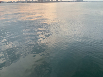 シーバス!船際リベンジ!