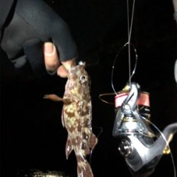 釣れるまで粘ってみる