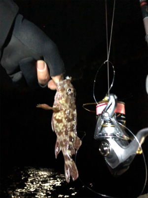 釣れるまで粘ってみる