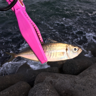 ウルトラライトショアジギング!