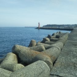 やはり穴釣りは手堅い!