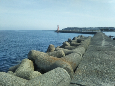 やはり穴釣りは手堅い!