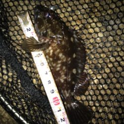 安定のガシリング(^^)