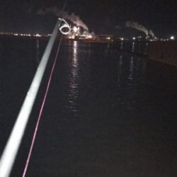 癒しのガッシーとタケノコ(^^)